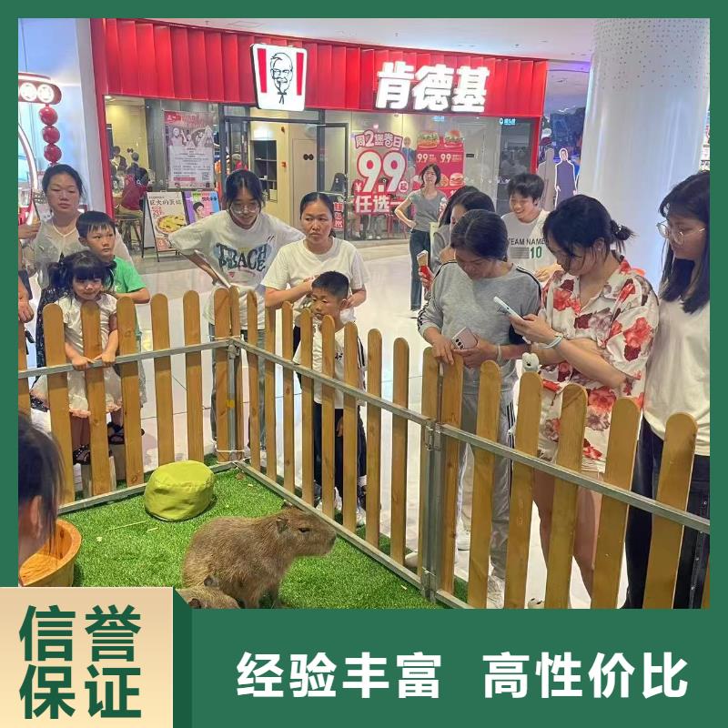 租賃資質(zhì)核查熱賣(mài)中