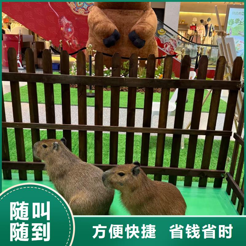 養(yǎng)殖基地價(jià)格走勢(shì)