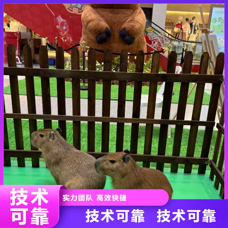 租賃資質(zhì)核查熱賣(mài)中