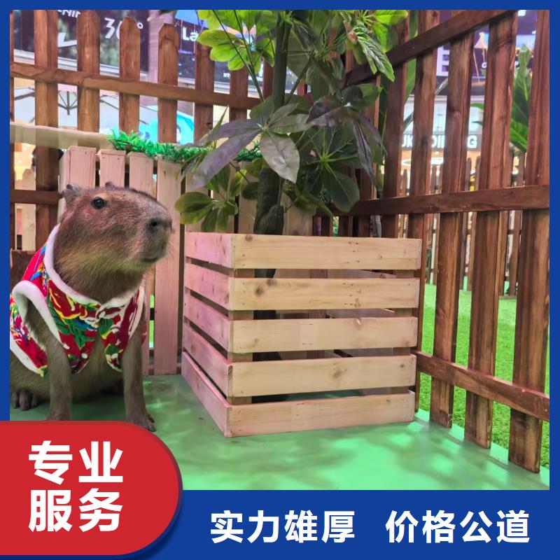 租賃資質(zhì)核查熱賣(mài)中