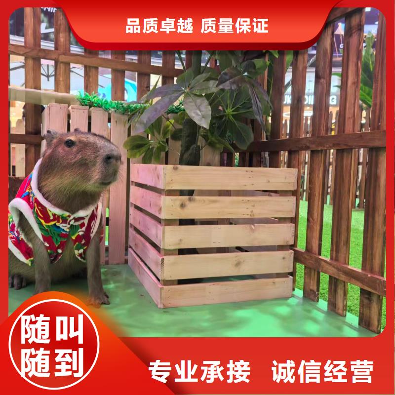 養(yǎng)殖基地價(jià)格走勢(shì)