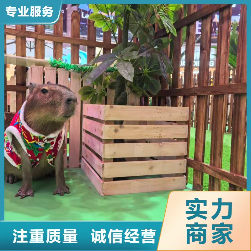 采購策劃必看-可信賴