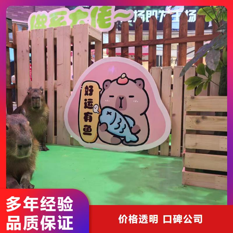 租賃資質(zhì)核查熱賣(mài)中