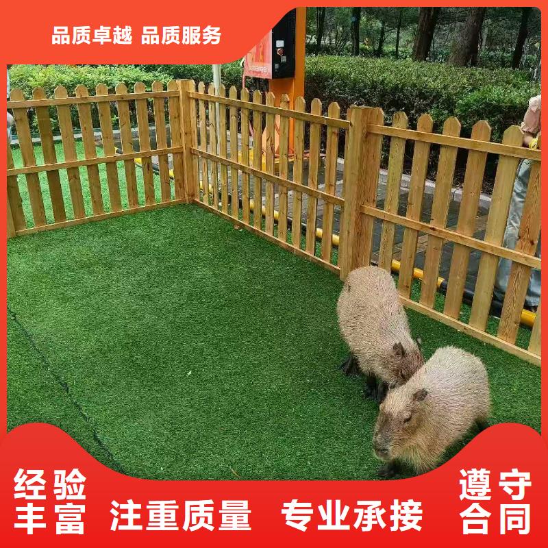 養(yǎng)殖基地價(jià)格走勢(shì)