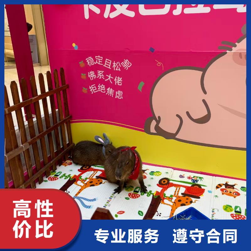 租賃資質(zhì)核查熱賣(mài)中