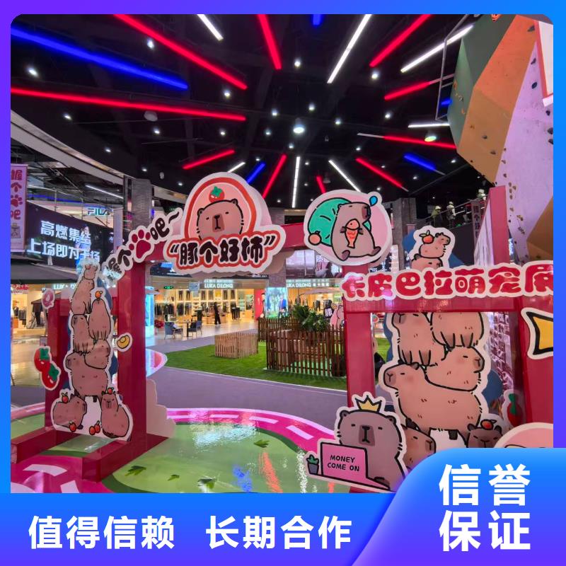 水豚出租常規(guī)貨源充足