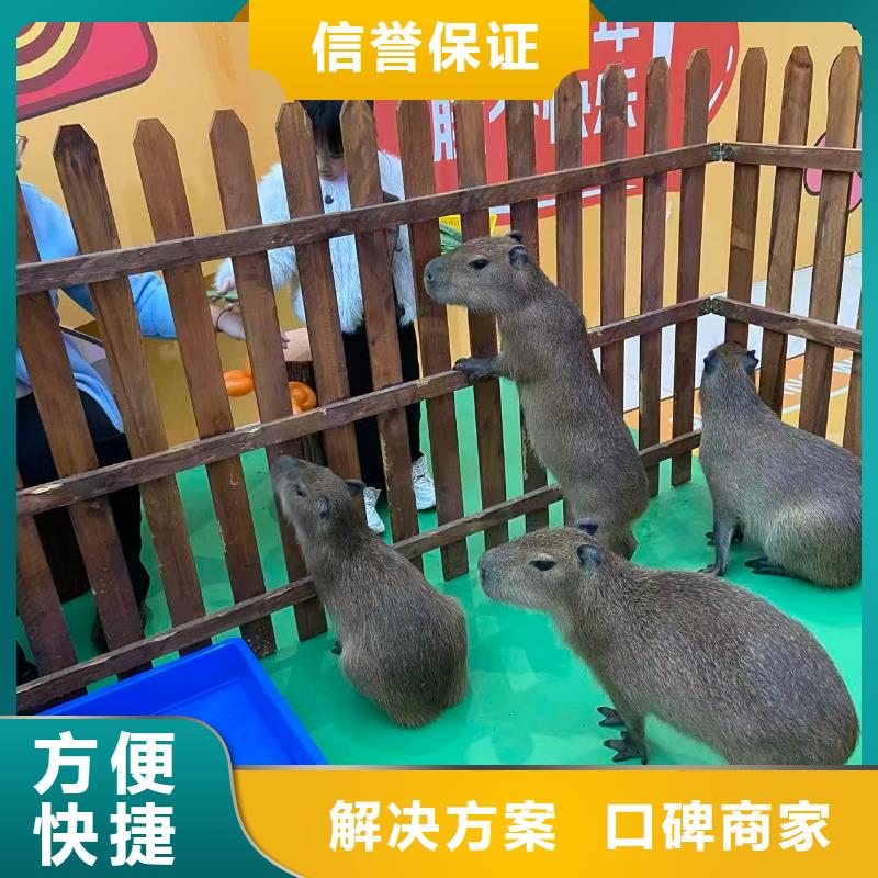 庫(kù)存充足的飼養(yǎng)員經(jīng)銷(xiāo)商