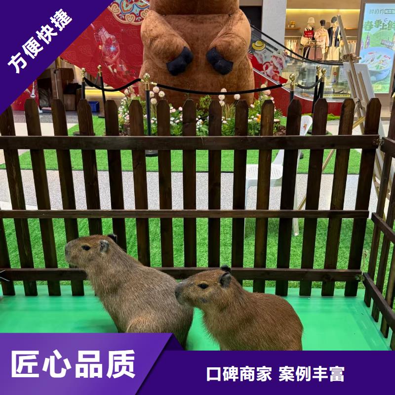 租賃資質(zhì)核查熱賣(mài)中