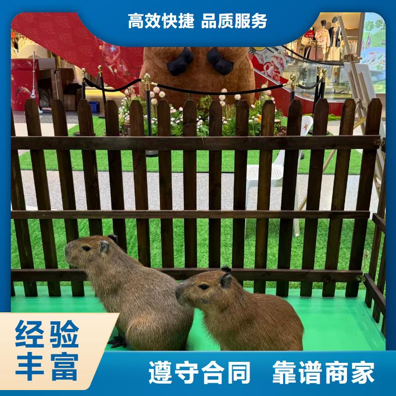 出租一站式廠家