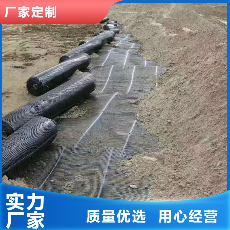 钢塑土工格栅厂家价格