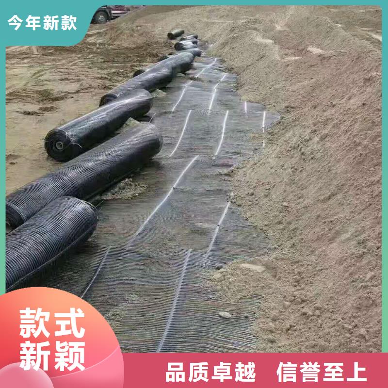 钢塑土工格栅在线报价