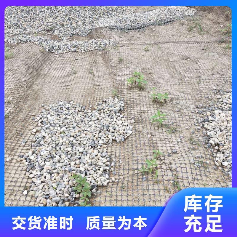 双向塑料土工格栅价格