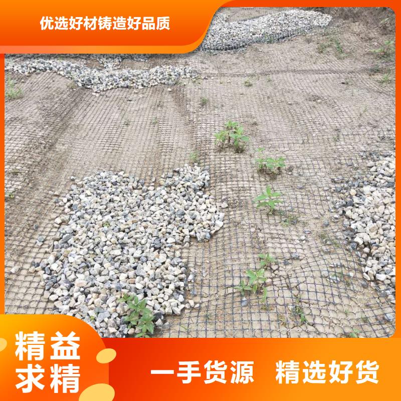 塑料拉伸土工格栅厂家直供