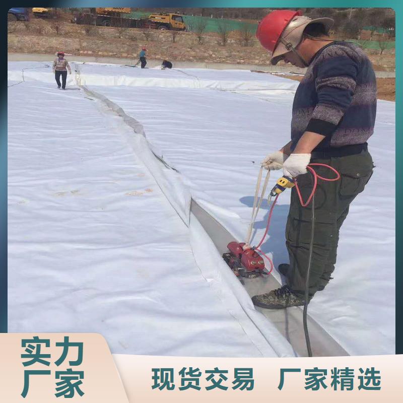 【土工布】双向塑料土工格栅精益求精