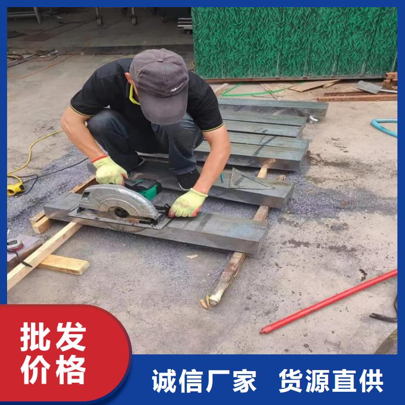 價(jià)格合理的擠壓配重鉛塊供貨商