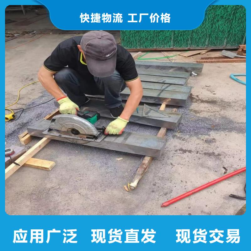 2025出廠價#負(fù)重鉛塊公司#可配送