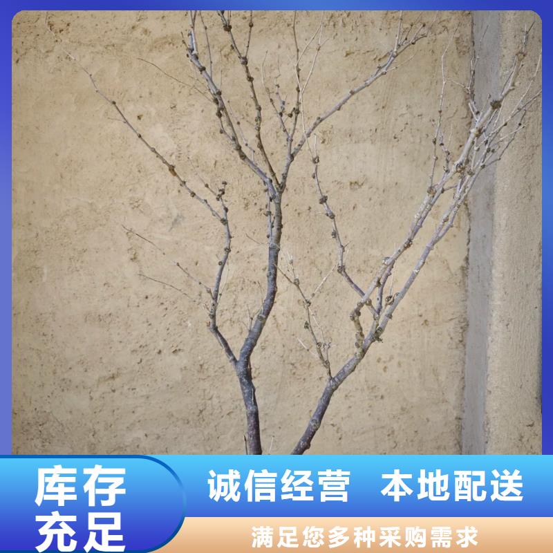 施工价格仿泥巴稻草漆质优价廉