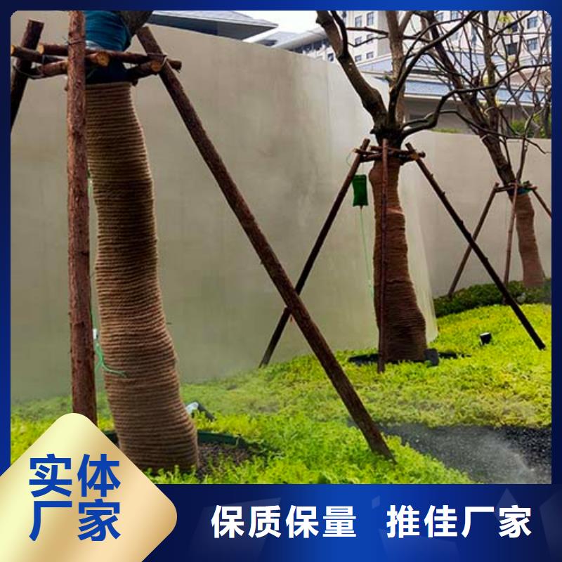 水泥漆内墙稻草泥一手货源