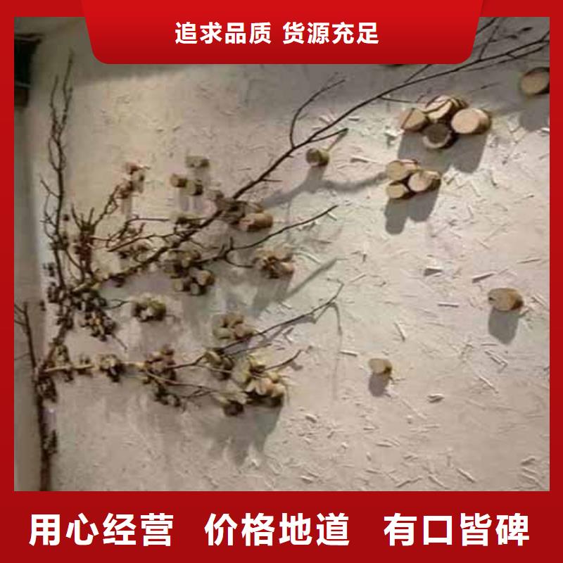 雅晶石外墙灰泥客户满意度高