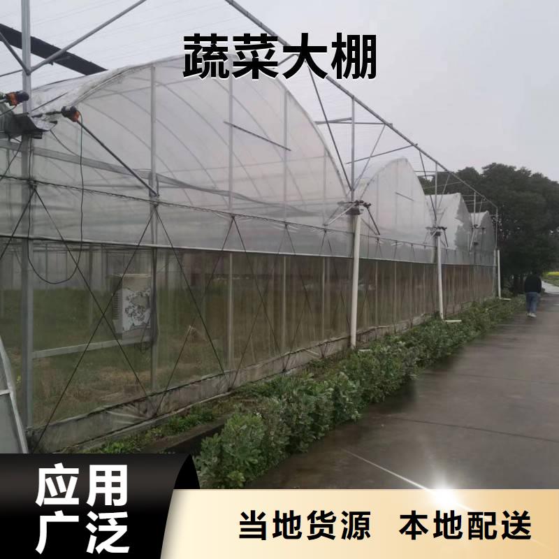 育苗连栋大棚10年经验免费指导