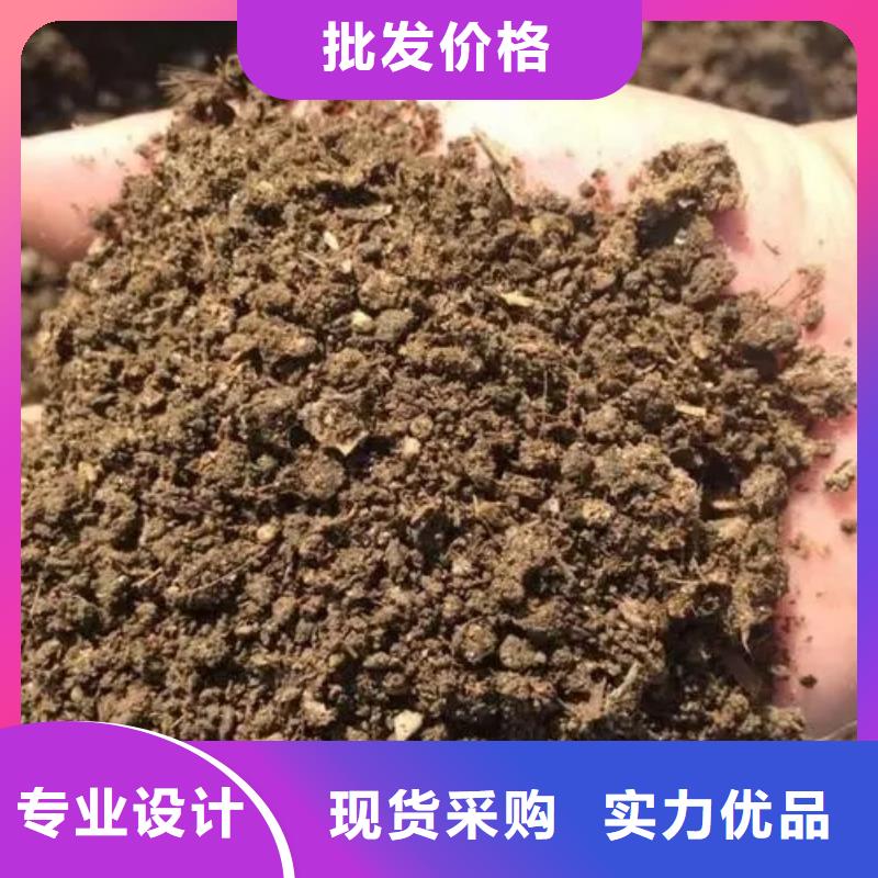 干鸡粪生根壮苗