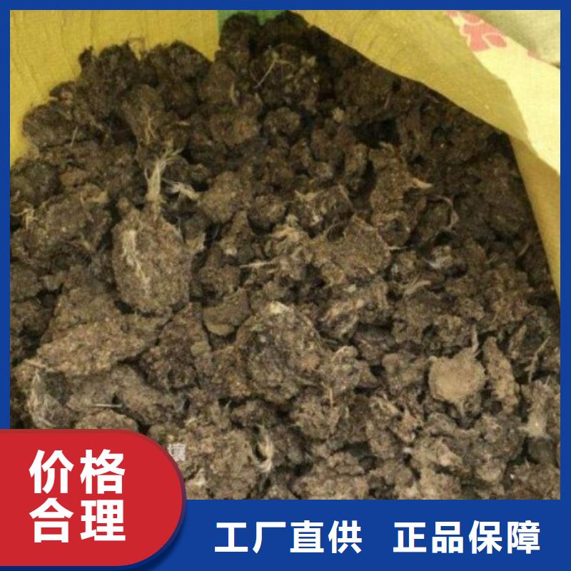 发酵羊粪行情