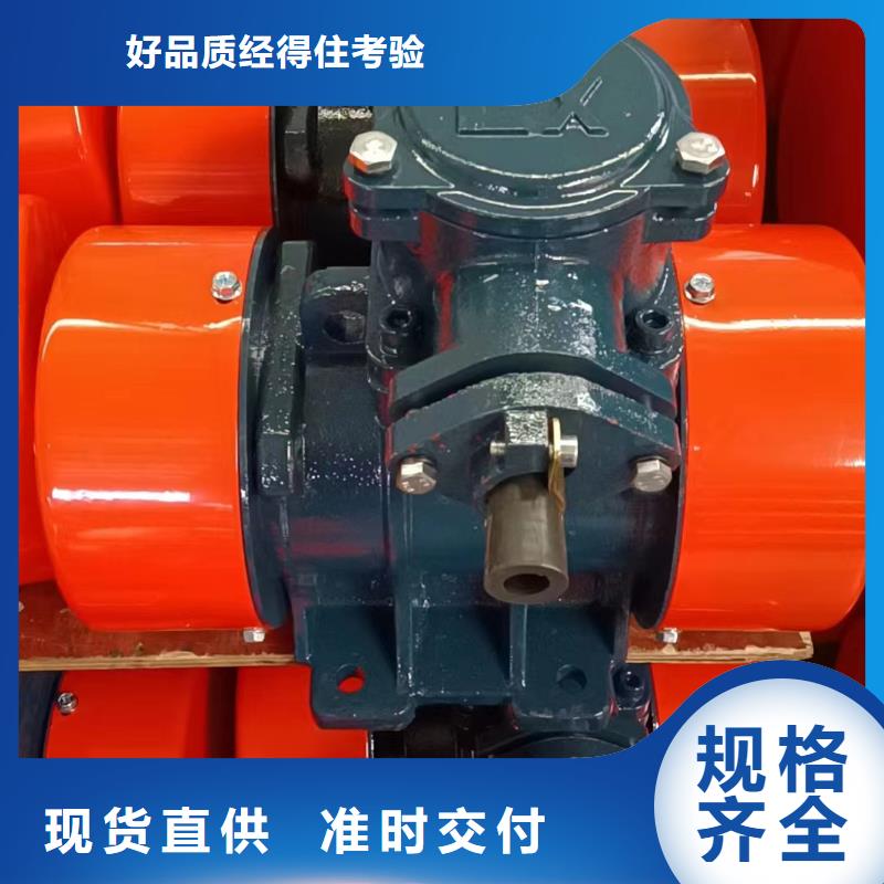 【防爆振動電機防爆振動電機廠家一站式服務(wù)】