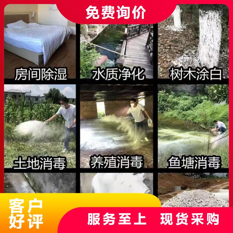 石灰高鈣白灰 工藝成熟