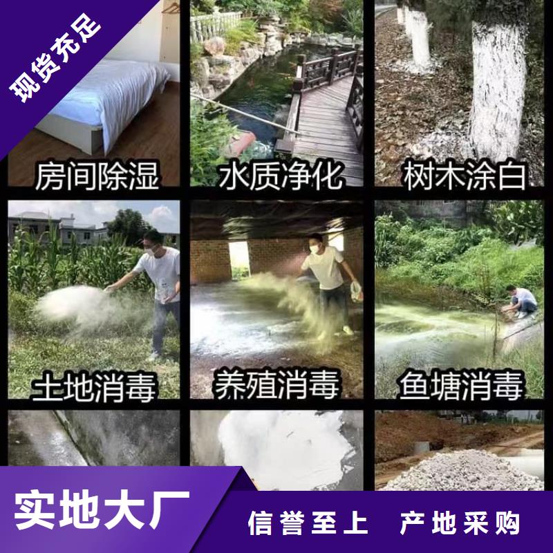 石灰生石灰?guī)齑纨R全廠家直供