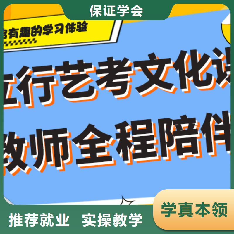 藝考生文化課高考語文輔導(dǎo)學(xué)真本領(lǐng)