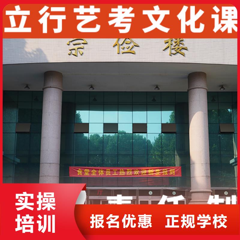 藝考生文化課高考語文輔導(dǎo)學(xué)真本領(lǐng)