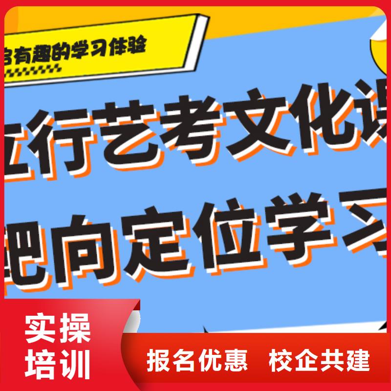 藝術(shù)生文化課高考老師專業(yè)