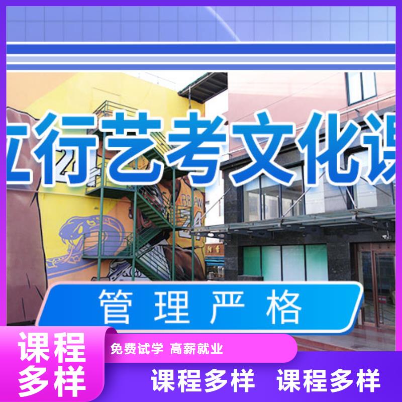 藝考文化課集訓(xùn),高考補(bǔ)習(xí)班老師專業(yè)