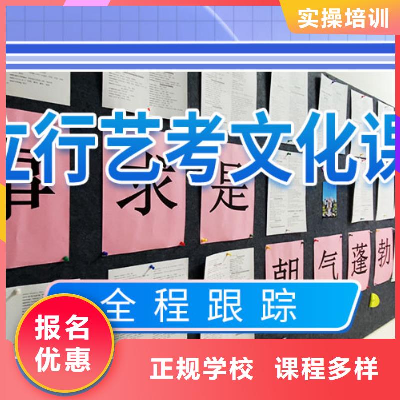 藝考文化課集訓(xùn),高考補(bǔ)習(xí)班老師專業(yè)