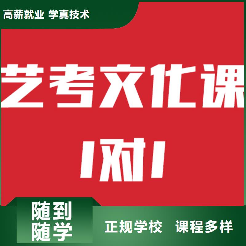 藝考文化課培訓(xùn)藝考一對一教學(xué)實操培訓(xùn)
