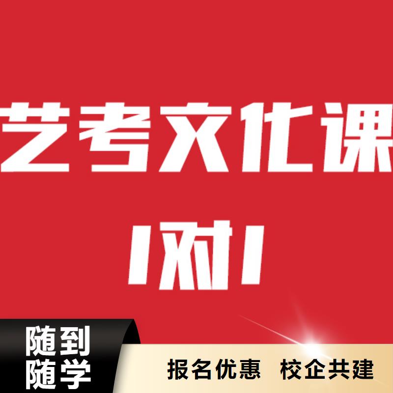 藝考文化課培訓高考輔導學真技術