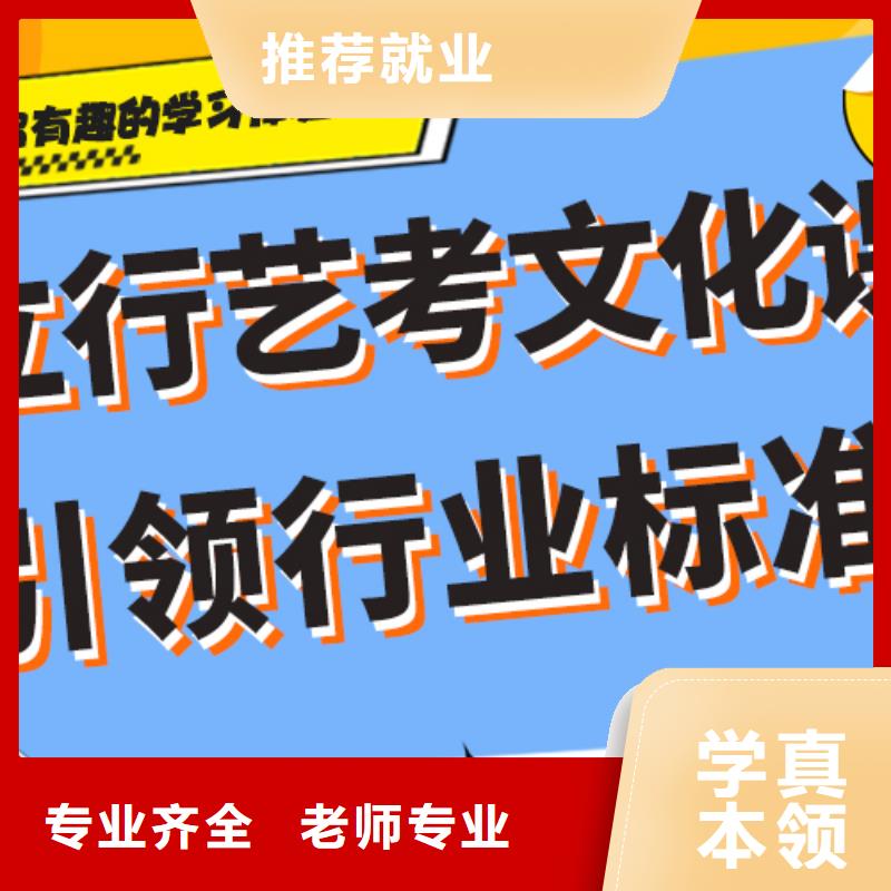 藝考文化課 高考語文輔導(dǎo)正規(guī)培訓(xùn)