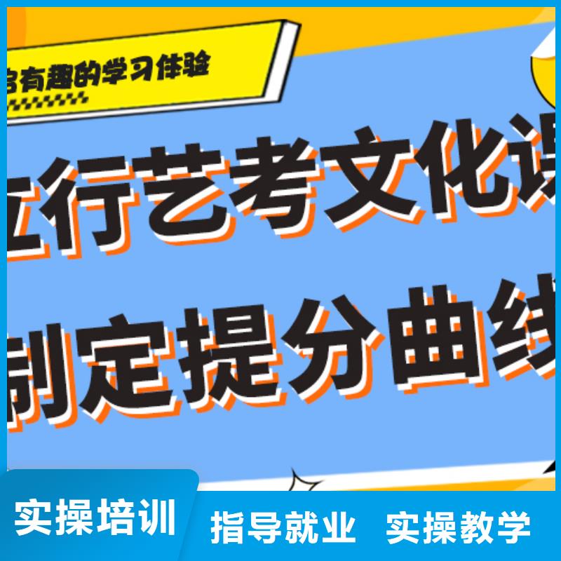 藝考文化課藝考老師專業(yè)