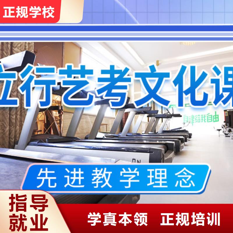 藝考文化課 高考語文輔導(dǎo)正規(guī)培訓(xùn)