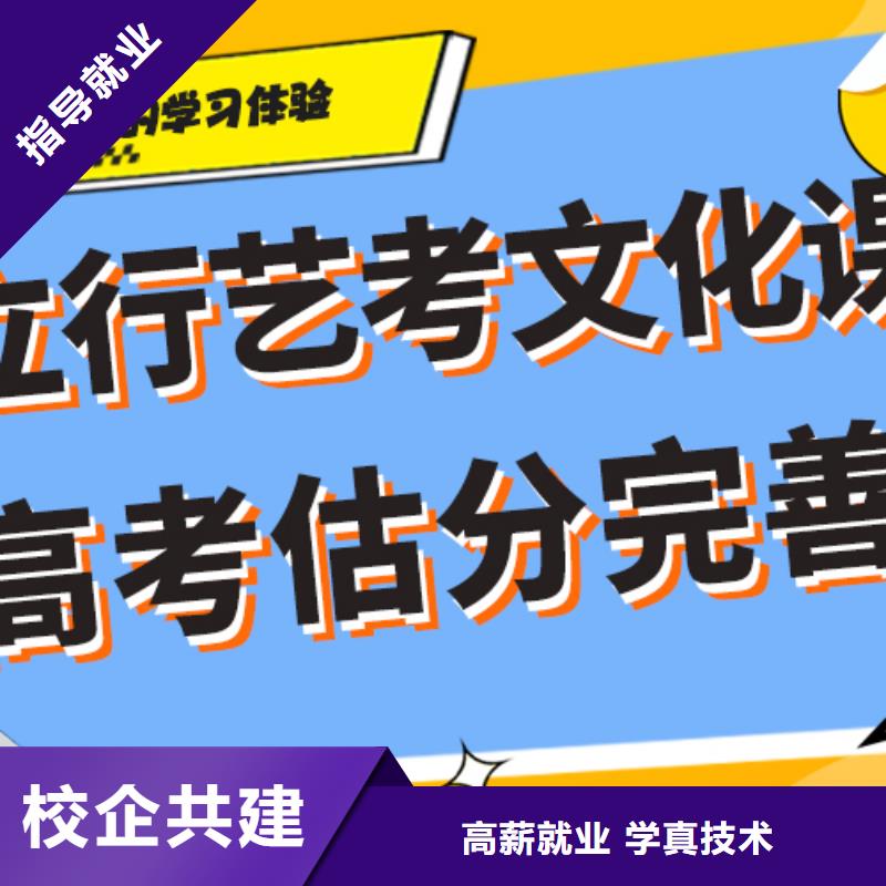 藝考文化課集訓(xùn)班,高考志愿一對(duì)一指導(dǎo)免費(fèi)試學(xué)