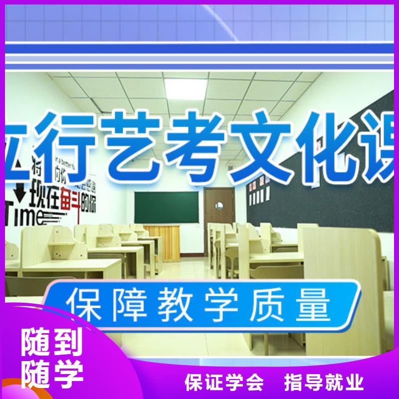 【藝考文化課補(bǔ)習(xí)高中一對(duì)一輔導(dǎo)實(shí)操教學(xué)】