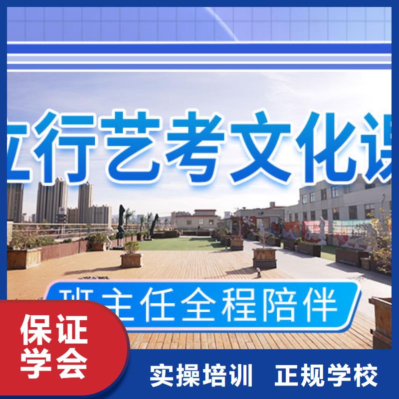 藝術(shù)生文化課培訓(xùn)機(jī)構(gòu)有哪些