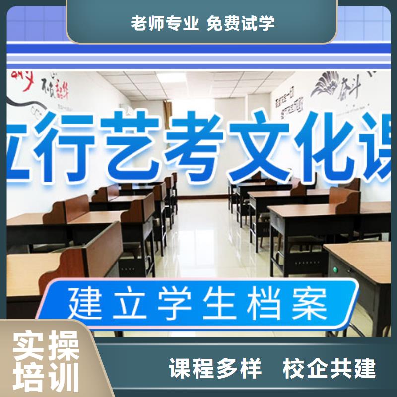 藝考文化課補(bǔ)習(xí)_舞蹈藝考培訓(xùn)老師專業(yè)
