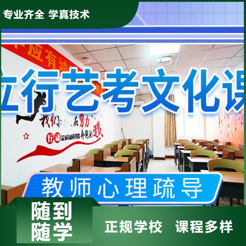 藝考文化課補(bǔ)習(xí)_舞蹈藝考培訓(xùn)老師專業(yè)