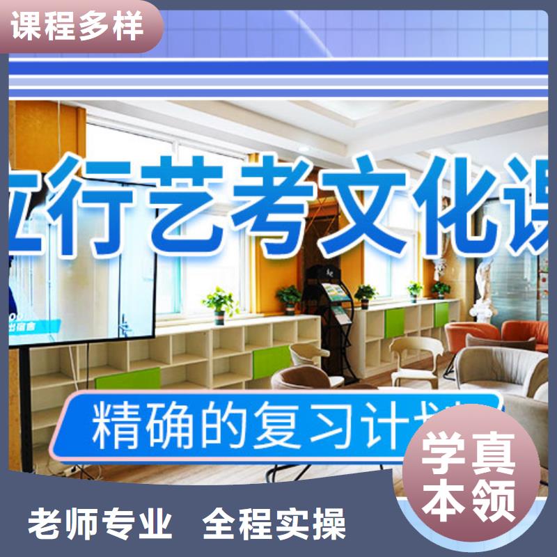 藝考文化課補(bǔ)習(xí)_舞蹈藝考培訓(xùn)老師專業(yè)