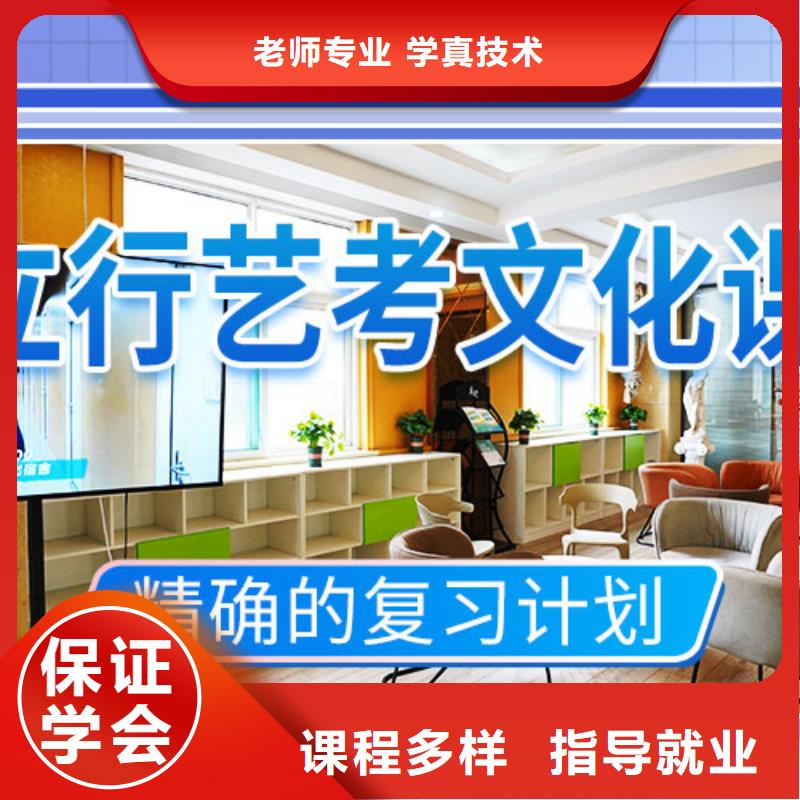 藝考文化課補(bǔ)習(xí)_舞蹈藝考培訓(xùn)老師專業(yè)