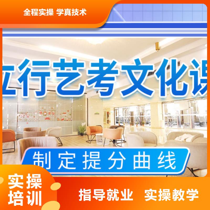 藝考文化課培訓(xùn)美術(shù)藝考手把手教學(xué)