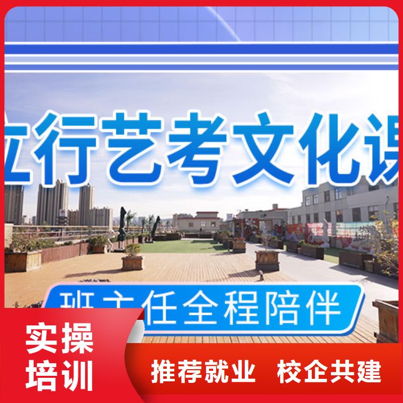 藝考文化課沖刺藝考復(fù)讀清北班實(shí)操教學(xué)