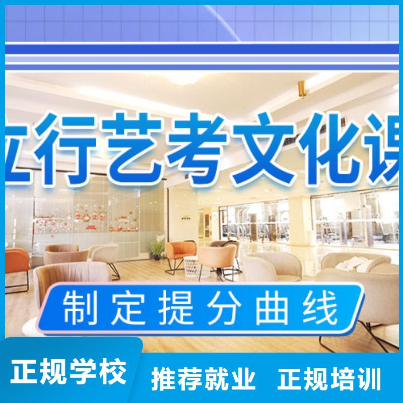 藝術(shù)生文化課輔導集訓教的好的