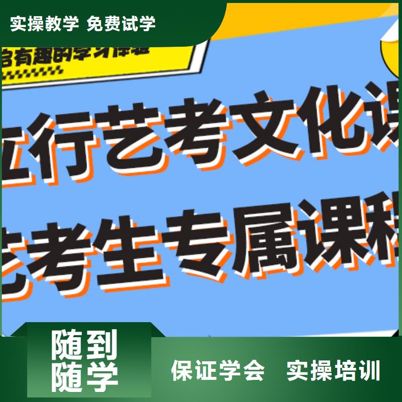 艺术生文化课补习学校哪个好艺考生文化课专用教材